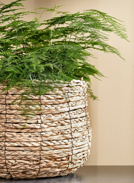 1433016p4
