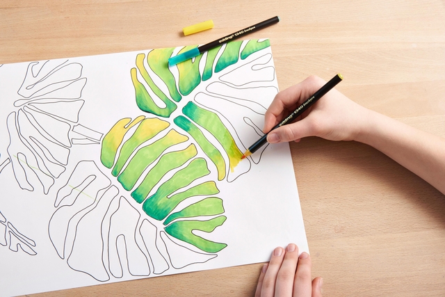 1388163p11