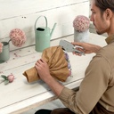 304200p6