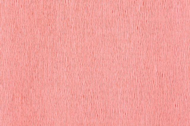 141879p2