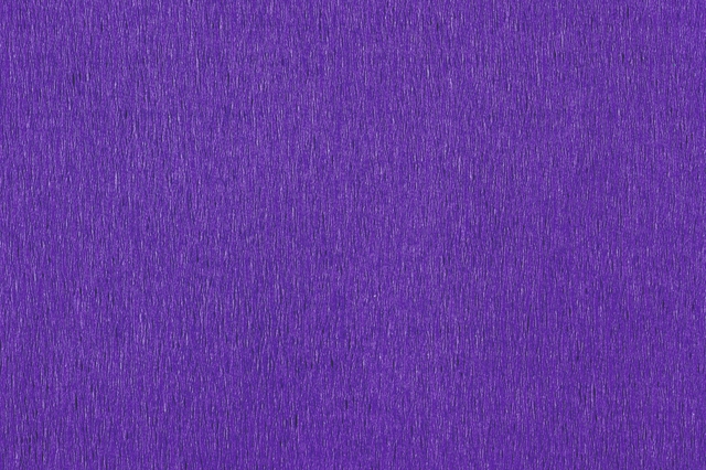 141861p2