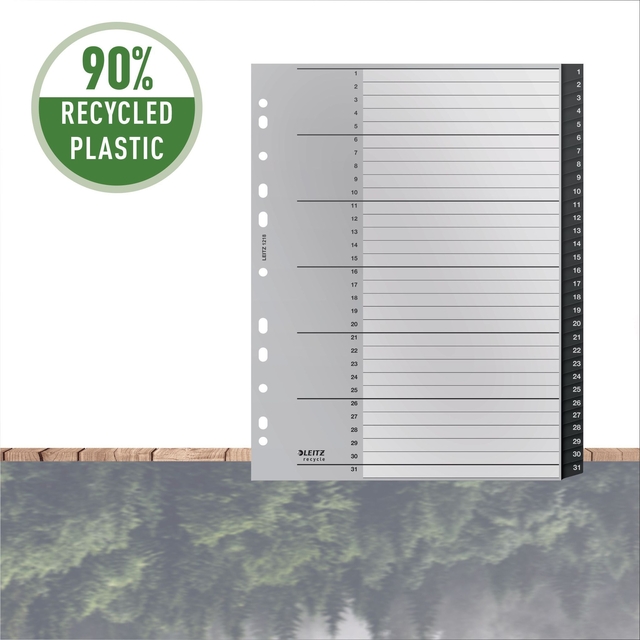 1398109P2