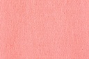 141879p2