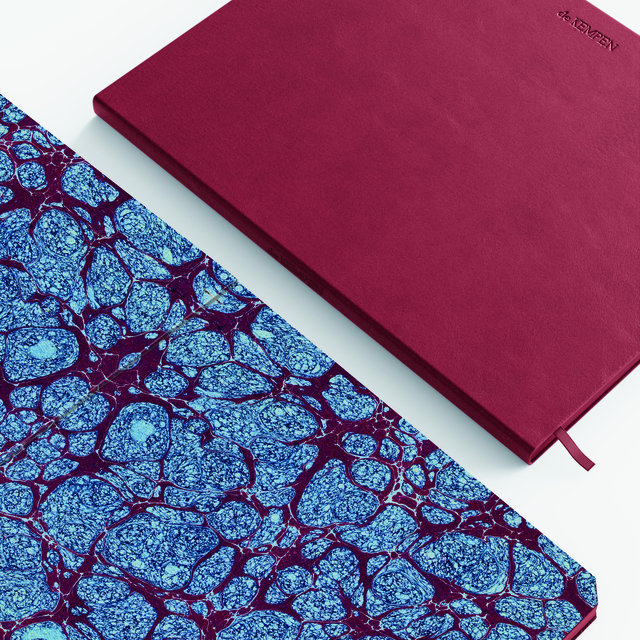 1438731p2