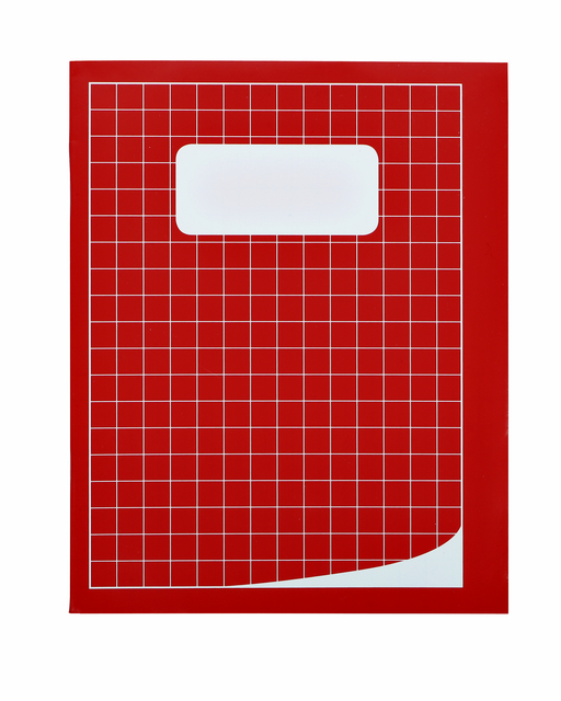 Cahier Qbasic 210x165mm carreau 10mm 80 pages 70g assorti