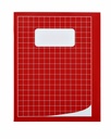 Cahier Qbasic 210x165mm carreau 10mm 80 pages 70g assorti