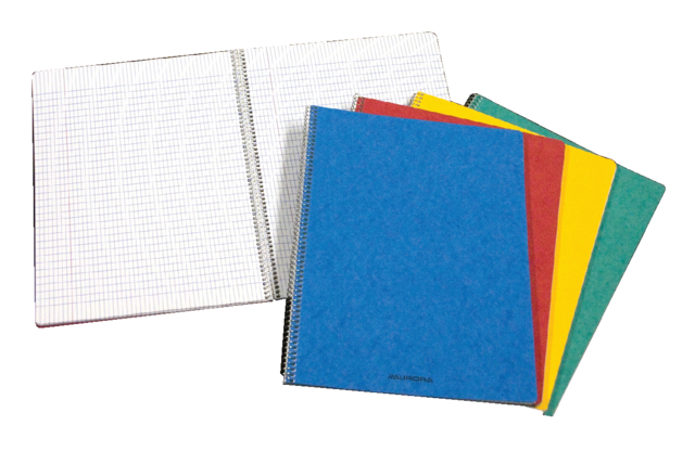 Schrift Aurora 210x165mm ruit 5x5mm 120 pagina's 80gr assorti