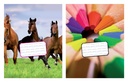 Cahier Kangaro 165x210mm 72 pages 80g