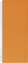 Livre d'inventaire 135x330mm ligné 160 pages 70g spirale orange