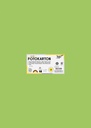 Carton photo Folia 50x70cm 300g 10 feuilles n° 51 vert clair