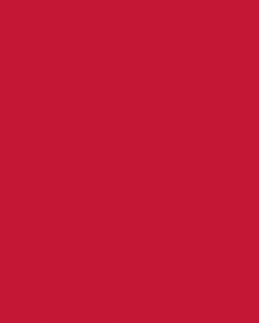 Carton bricolage Folia 48x68cm 400g n° 211 rouge