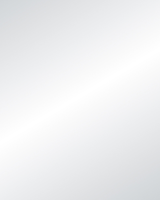 Etalagekarton Folia 1-zijdig 48x68cm 380gr nr631 zilver