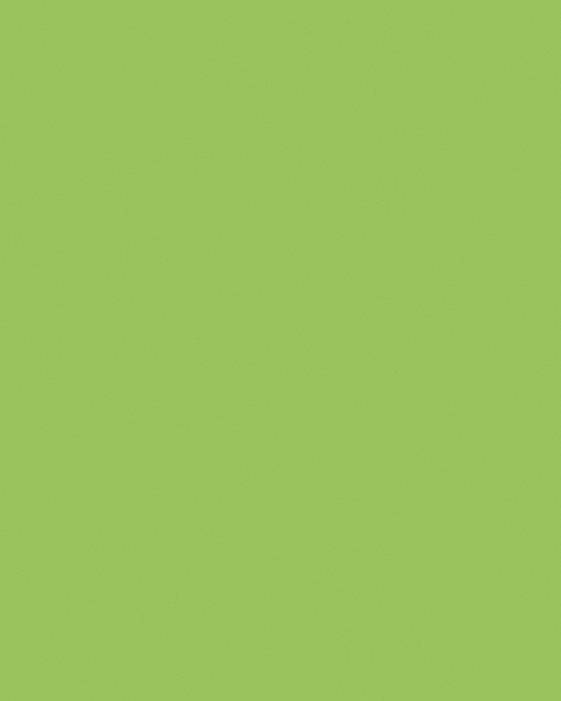 Etalagekarton Folia 1-zijdig 48x68cm 380gr nr941 fluor groen
