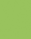 Carton bricolage Folia 48x68cm 380g n° 941 vert fluo