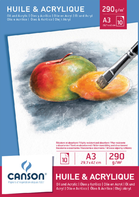 Bloc Huile et Acrylique Canson Graduate A3 290g 20 feuilles
