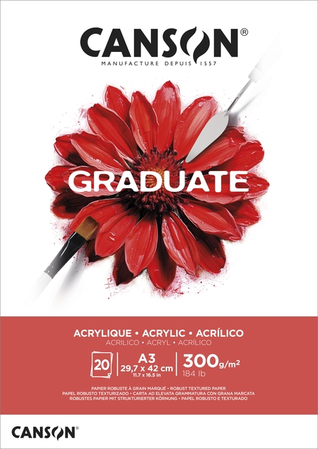 Bloc peinture Huile & Acrylique Canson Graduate A3 20 feuilles 290g blanc