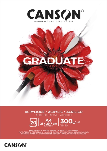 Schilderpapier Canson Graduate Oil & Acrylic 20vel 290gr A4 natuurlijk wit