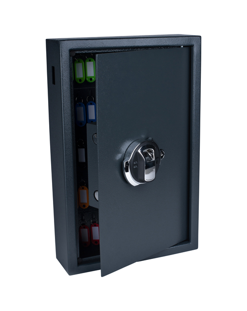 Armoire à clés Pavo High Security à empreinte 50 crochets 550x400x100mm