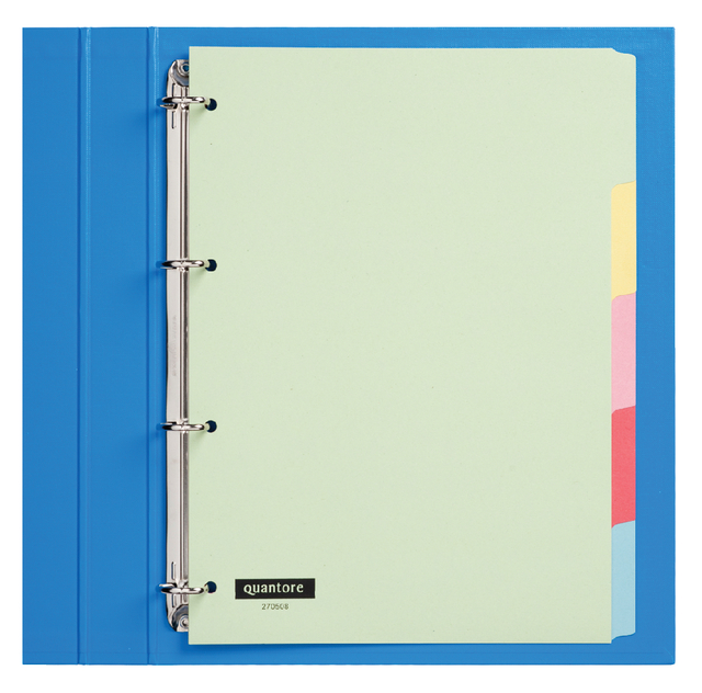 Intercalaire Quantore 4 perforations 5 onglets carton assorti