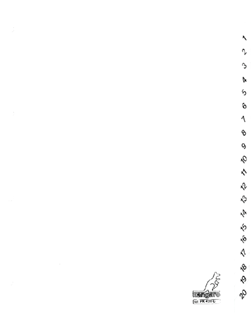 Intercalaire Kangaro PK420C A4 4 perforations numéro 1-20 carton blanc