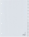 Intercalaires Kangaro 4 perf G412J 12 onglets mois PP gris