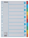Tabbladen Esselte Standaard A4 10-delig karton 11-rings met voorblad assorti