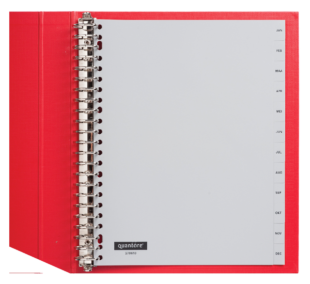 Intercalaire Quantore 23 perforations 12 onglets mois PP gris