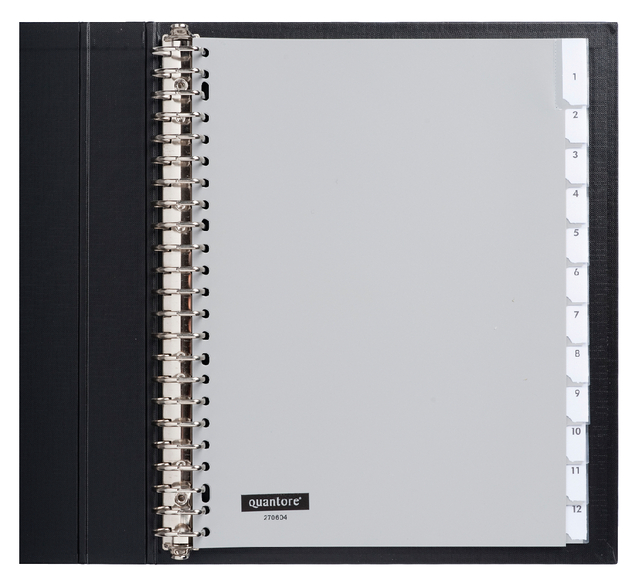 Intercalaire Quantore 23 perforations 12 onglets+fenêtre PP gris