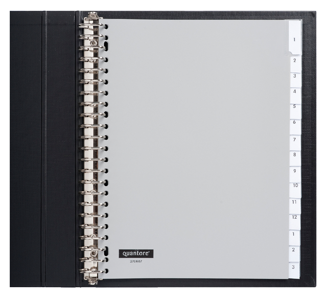 Intercalaire Quantore 23 perforations15 onglets+fenêtre PP gris