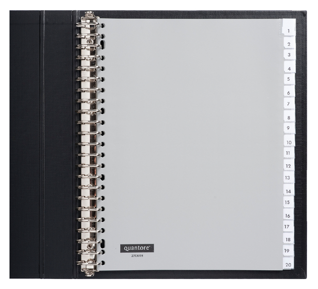 Intercalaires Quantore 23 perf 20 onglets à fenêtre gris
