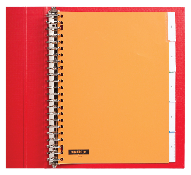 Intercalaire Quantore 23 perforations 5 onglets+fenêtre assorti PP