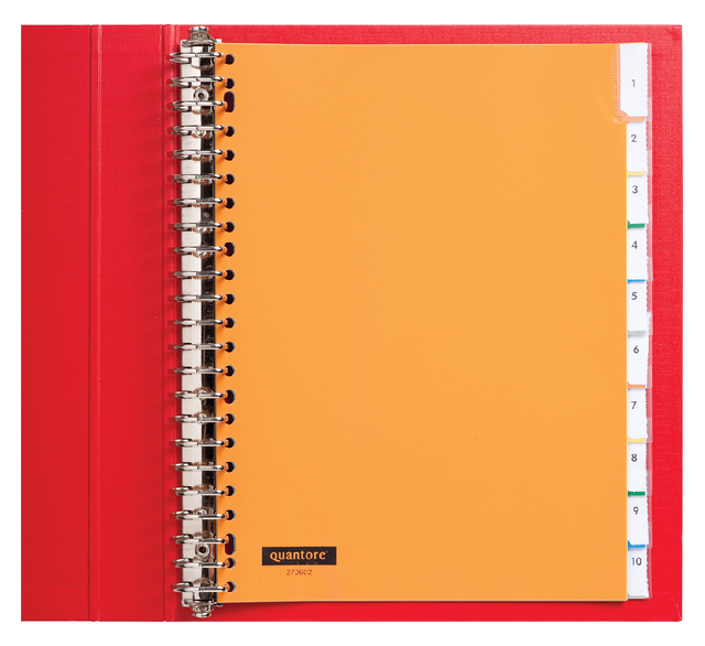 Intercalaire Quantore 23 perforations 10 onglets à fenêtre PP assorti