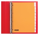 Intercalaire Quantore 23 perforations 10 onglets à fenêtre PP assorti