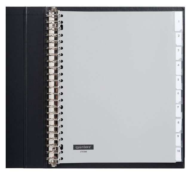 Intercalaire Quantore 23 perforations 10 onglets+fenêtre Extra Large PP