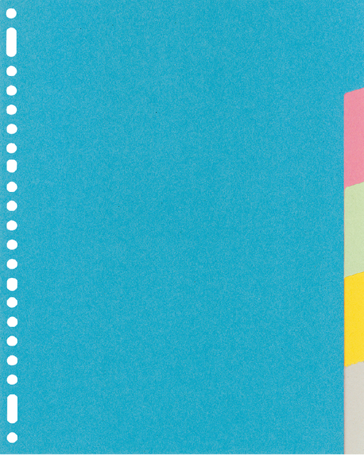 Intercalaire Kangaro RY405M A4 23 perforations 5 onglets carton assorti