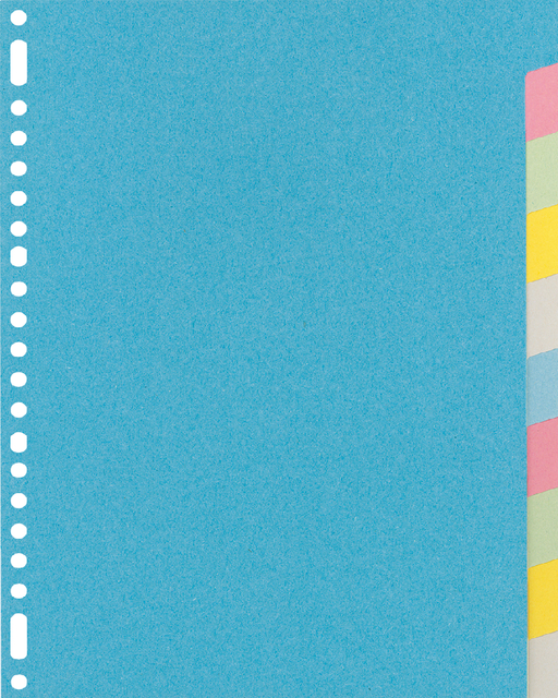 Intercalaire Kangaro RY410M A4 23 perforations 10 onglets carton assorti