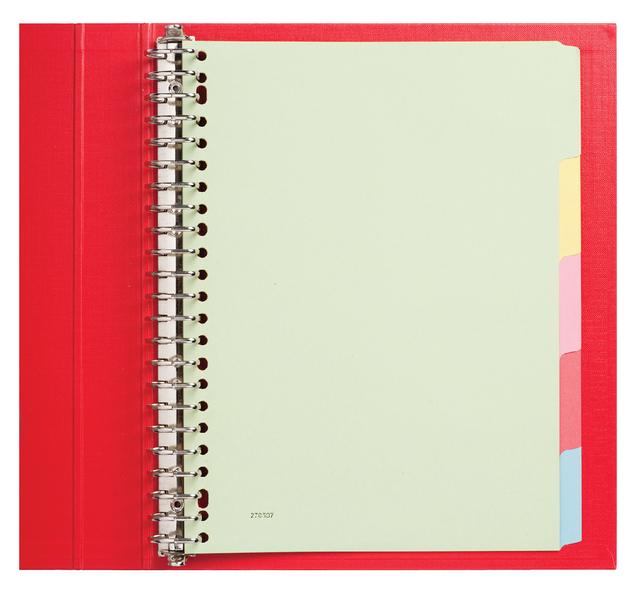 Intercalaire Qbasic 23 perforations 5 onglets carton assorti