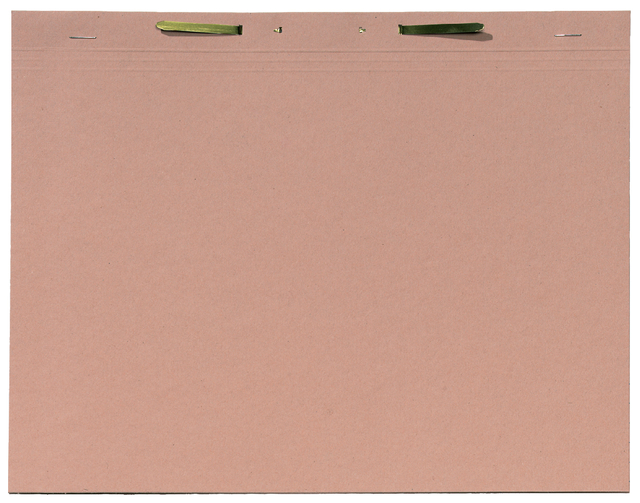 Binnenmap Djois A4 met snelhechter 300gr chamois