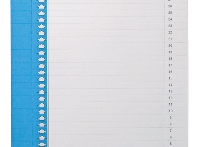 Ruiterstrook Elba Nr 9 157x7mm lateraal blauw 10 stuks