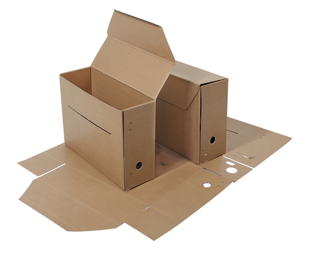 Boîte archives Djois Folio 370x265x115mm brun