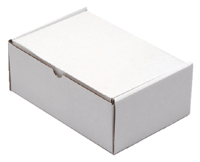 Boîte postale CleverPack carton ondulé 220x160x90mm blanc 25 pièces