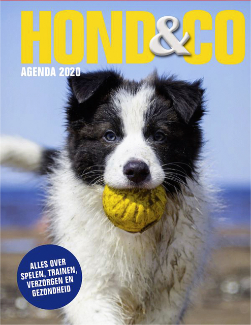 Ag20 Hond & Co A5 spiraal