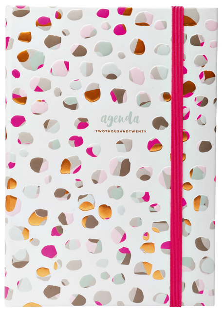 Ag20 A6 dessin Wonderland stippen