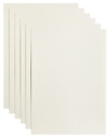 Papier copieur Papicolor A4 100g blanc 12 feuilles