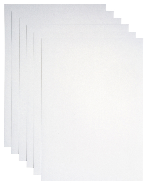 Papier copieur Papicolor A4 120g blanc perle métallisé 6 feuilles