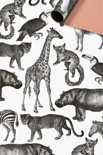 Rouleau pour appareil Stewo Zimo 250mx30cm 80g