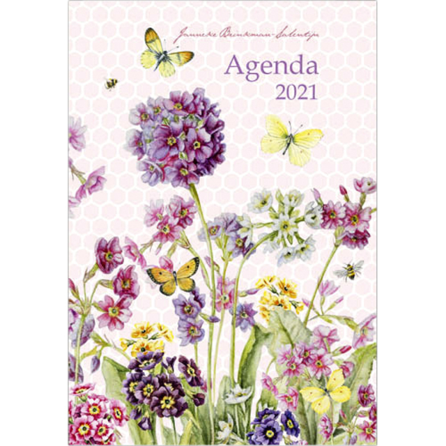 Ag21 Janneke Brinkman mini A7 `Primula