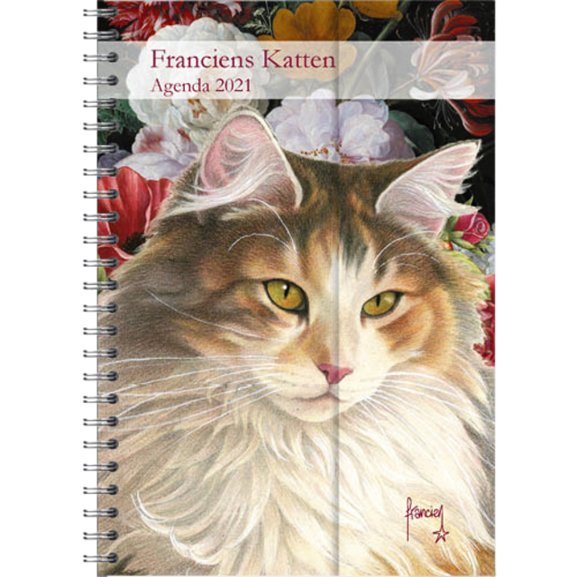 Ag21 Franciens Katten 11x15 sp Boskat