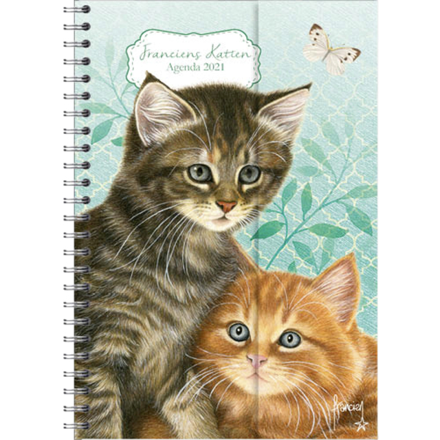 Ag21 Franciens Katten 11x15 sp Kittens