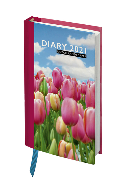 Ag21 Holland slim